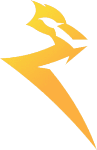 Raion Esports