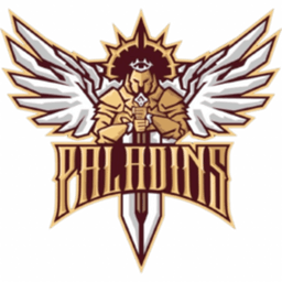 Paladins