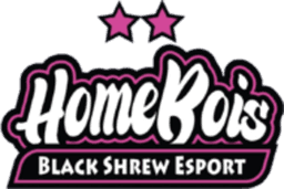 HomeBois BSE
