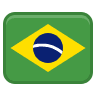 bra icon