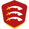 ess icon