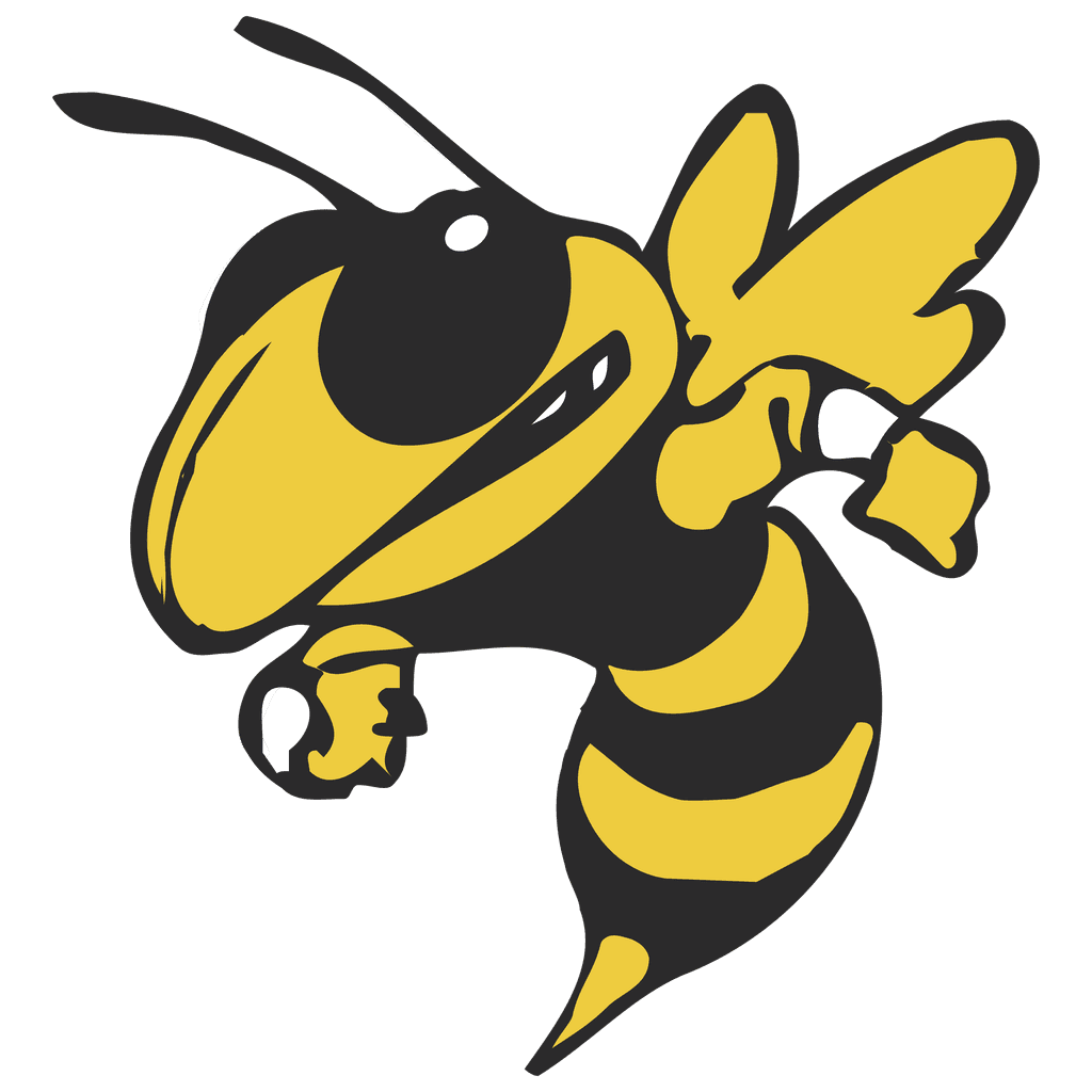 Georgia Tech Yellow Jackets