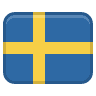swe icon