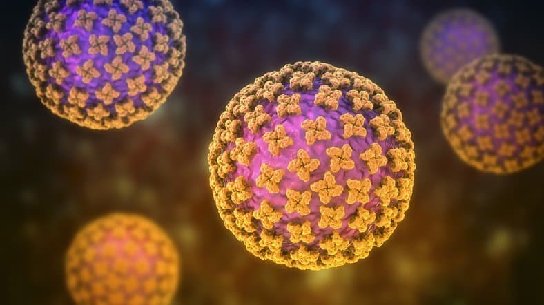 icon for ¿Pandemia de hantavirus en 2026?