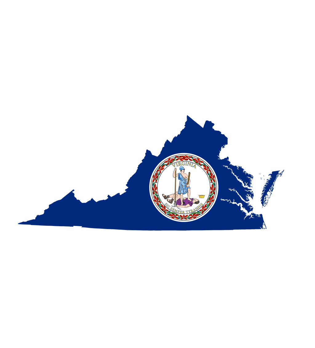Virginia Senate Election Winner