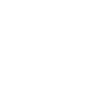 icon for Team Spirit