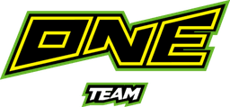 ONE Team