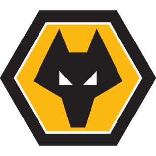 Wolverhampton Wanderers FC