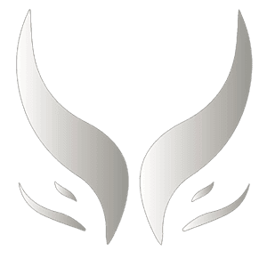 icon for Xtreme Gaming