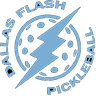 flash icon