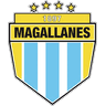 mag icon