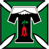 dtm icon