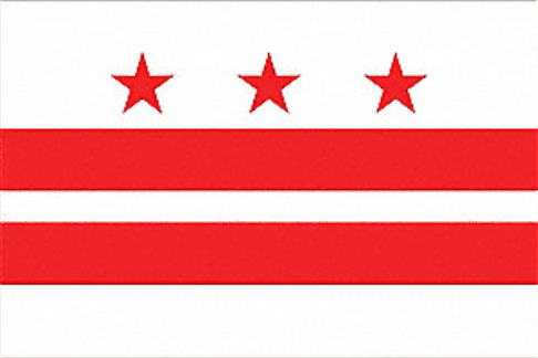 icon for DC Delegate Democratic Primary Winner