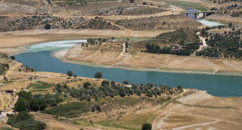 icon for Israeli forces withdraw from beyond the Litani River by…?