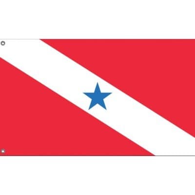 icon for Ganador de la elección del gobernador de Pará