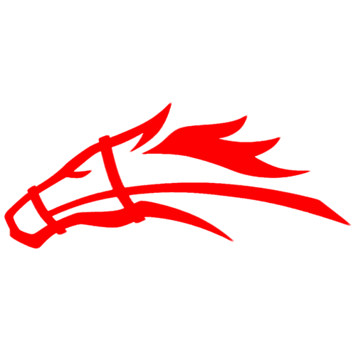 Stallions
