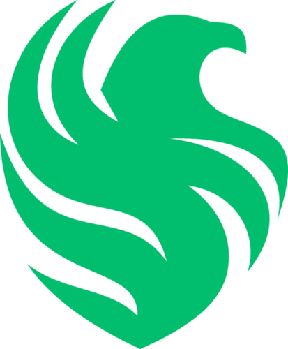 Falcons Academy Green