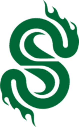 sfe icon