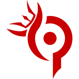 Team Paradox