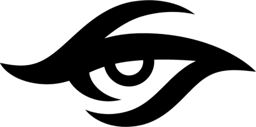 Team Secret Academy
