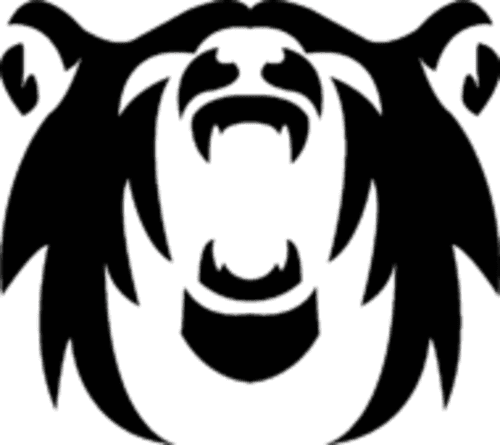 Polar Squad Esports GC