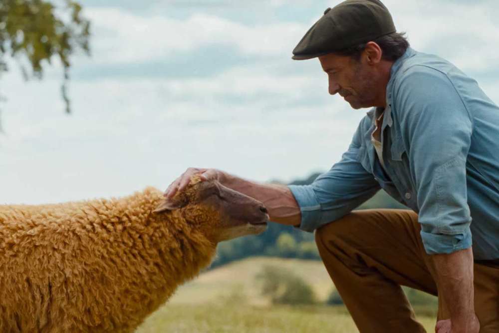 icon for "The Sheep Detectives" Rotten Tomatoes score?