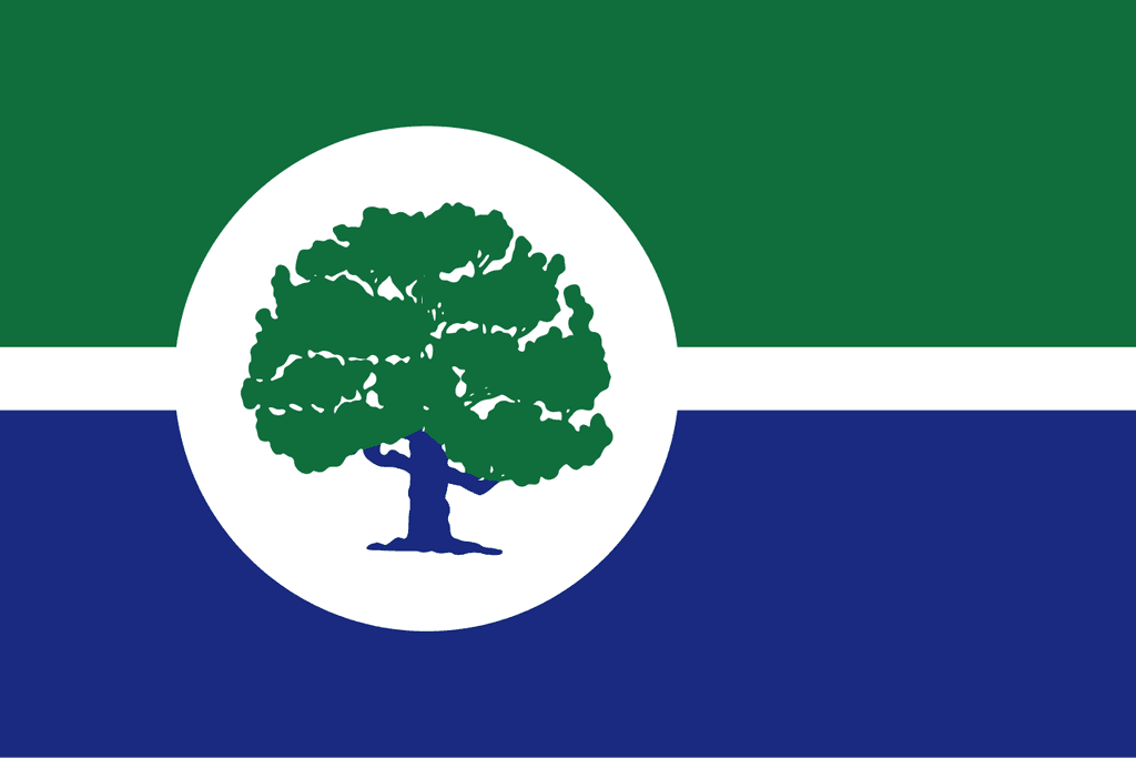 icon for ¿Quién ganará la nominación demócrata para alcalde de Ann Arbor?