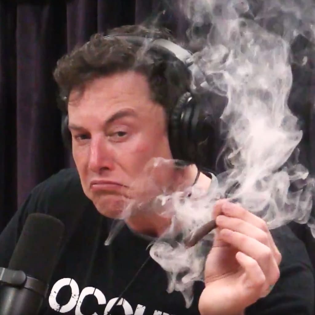 icon for Will Elon Musk go on Joe Rogan before June 30?