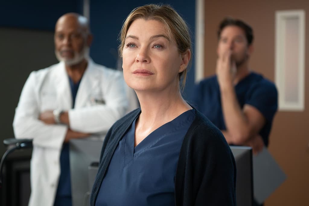 icon for Grey's Anatomy: Season 22