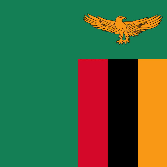icon for Zambia Presidential Election 1st Round: Turnout